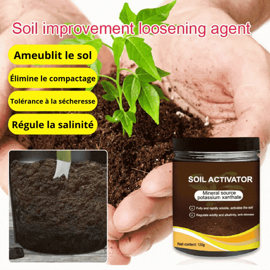 🍃🔥 Acheter 2 Obtenir 1 (3 PCS) 🔥 Agent de relâchement d'amélioration du sol