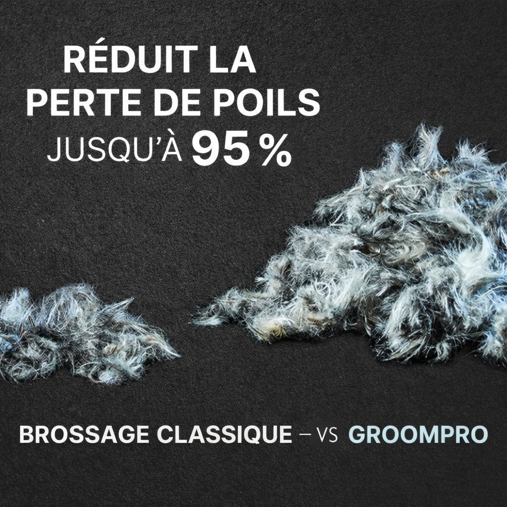 Brosse Anti-Poils Réutilisable Pour Chien – Nettoyage Rapide et Efficace