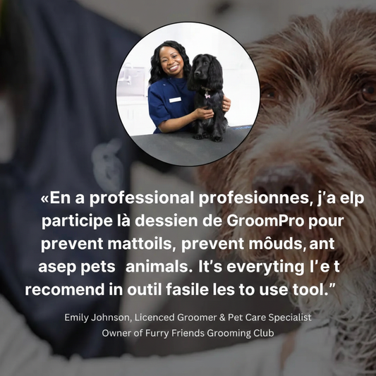 Brosse Anti-Poils Réutilisable Pour Chien – Nettoyage Rapide et Efficace