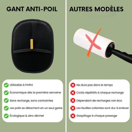 Gant Anti-Poils - Réutilisable & Écologique