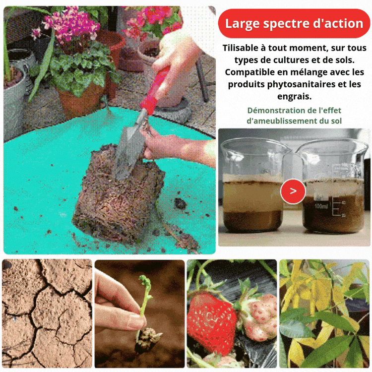 🍃🔥 Acheter 2 Obtenir 1 (3 PCS) 🔥  Agent de relâchement d'amélioration du sol