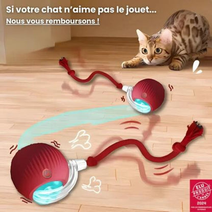 SmartCat : Le Jouet Intelligent Auto-Adaptatif
