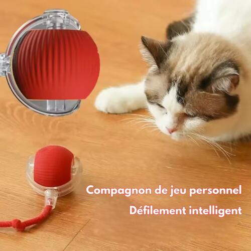 SmartCat : Le Jouet Intelligent Auto-Adaptatif