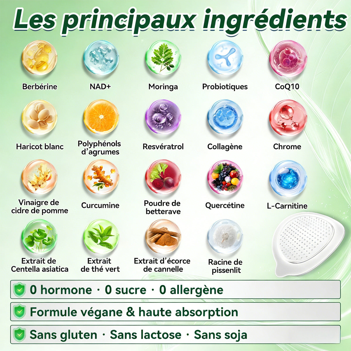 Luxarise Patch Minceur 10-en-1 | Moringa & Bérbérine