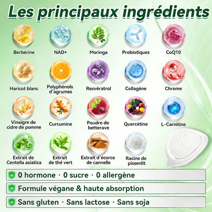Luxarise Patch Minceur 10-en-1 | Moringa & Bérbérine