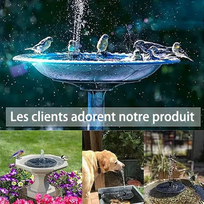 🔥Promotion exceptionnelle -50%🔥🔥Fontaines solaires pour oiseaux🐦️