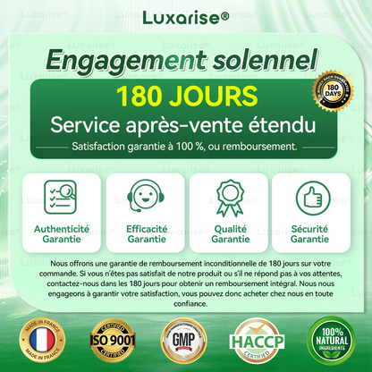 Luxarise Patch Minceur 10-en-1 | Moringa & Bérbérine