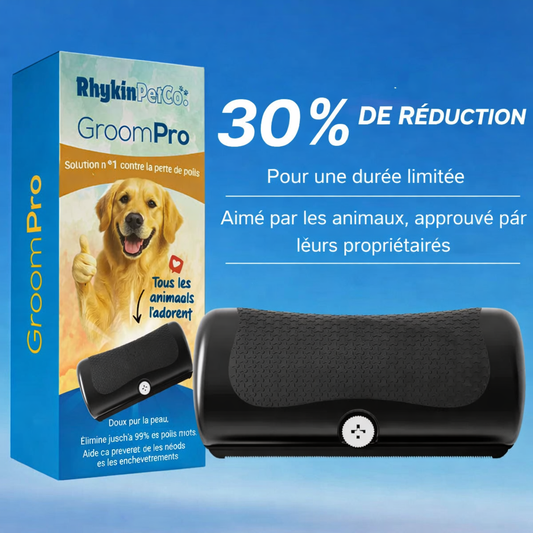 Brosse Anti-Poils Réutilisable Pour Chien – Nettoyage Rapide et Efficace