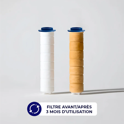 Douchette Hydromassante Anti-Calcaire : Pression Parfaite et Détente.