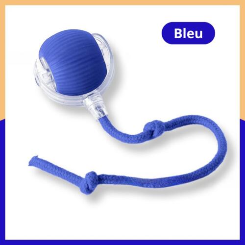 SmartCat : Le Jouet Intelligent Auto-Adaptatif
