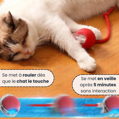 SmartCat : Le Jouet Intelligent Auto-Adaptatif