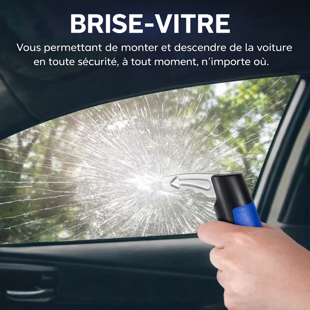 SedoGrip - Poignée d'Assistance 2 en 1