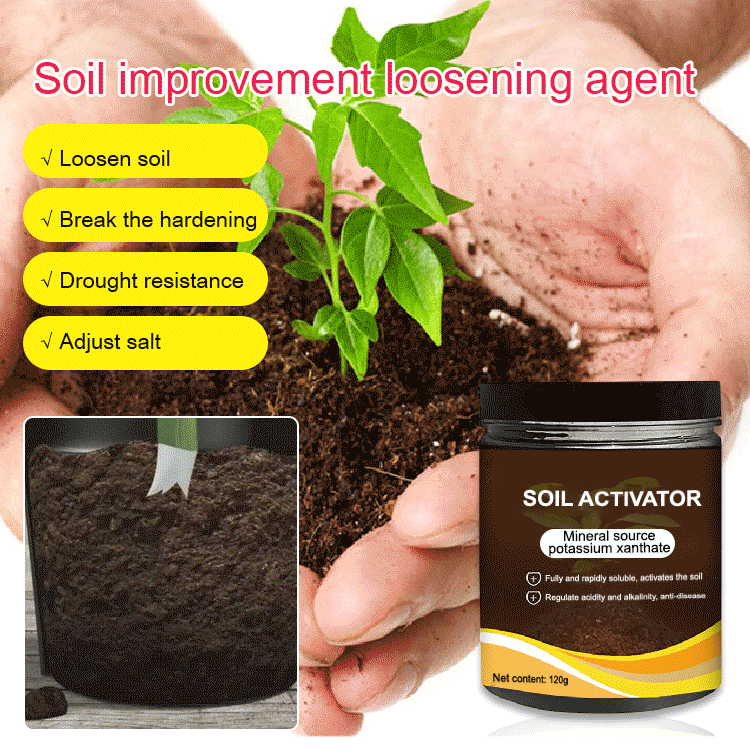 🍃🔥 Acheter 2 Obtenir 1 (3 PCS) 🔥  Agent de relâchement d'amélioration du sol
