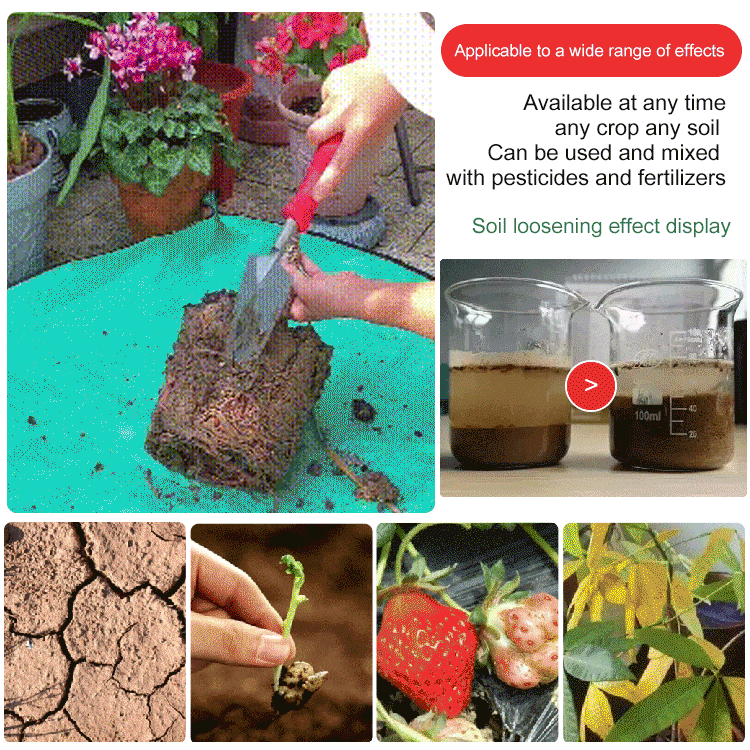 🍃🔥 Acheter 2 Obtenir 1 (3 PCS) 🔥  Agent de relâchement d'amélioration du sol